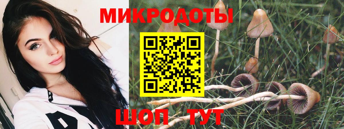 Пенза  Галлюциногенные грибы GOLDEN TEACHER  Вход с VPN  Псилоцибиновые грибы Magic Shrooms 