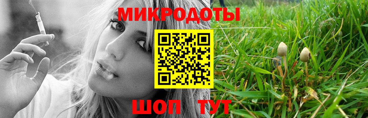 Псилоцибиновые грибы прущие грибы Пенза
